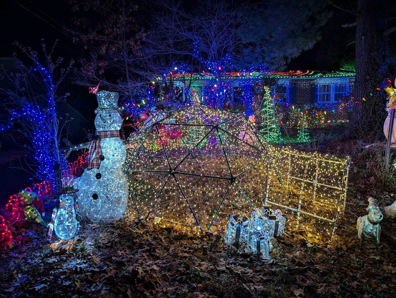 Christmas Lights 1