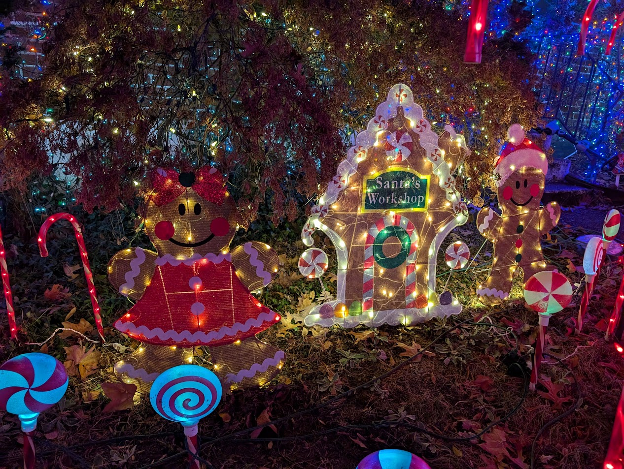 Christmas Lights 10