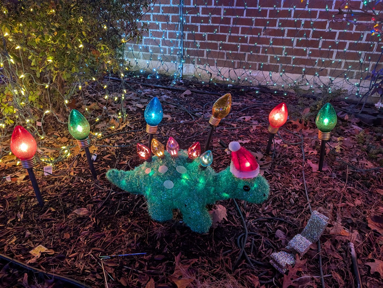 Christmas Lights 11