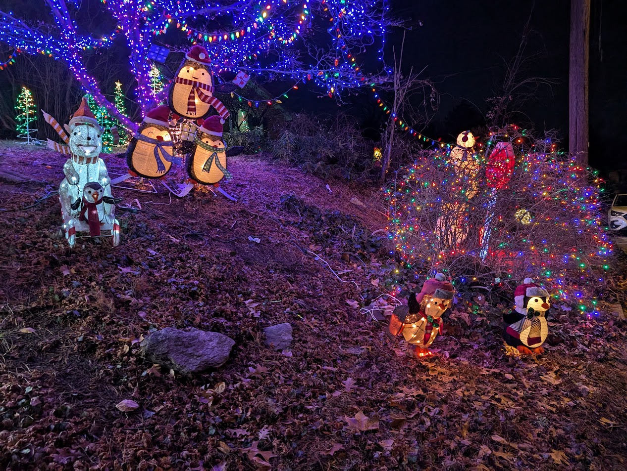 Christmas Lights 3