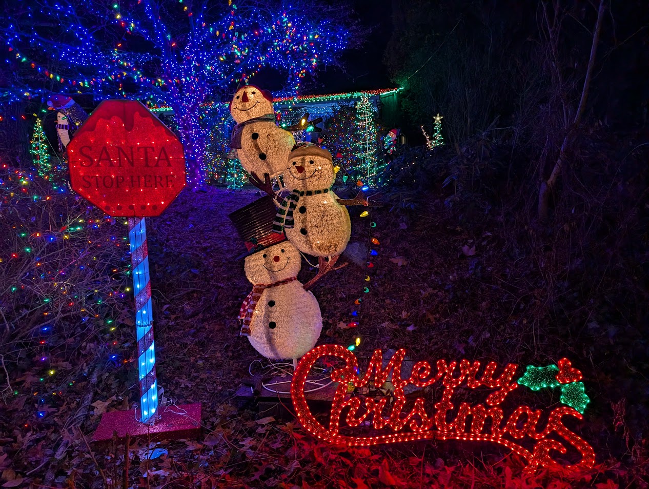 Christmas Lights 4