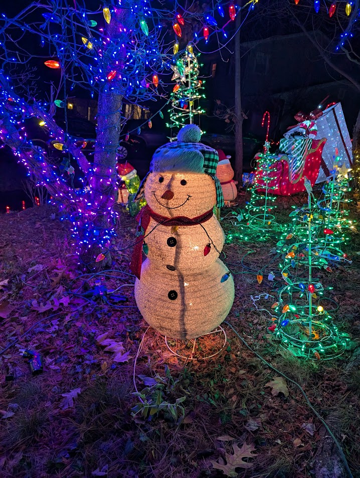 Christmas Lights 5
