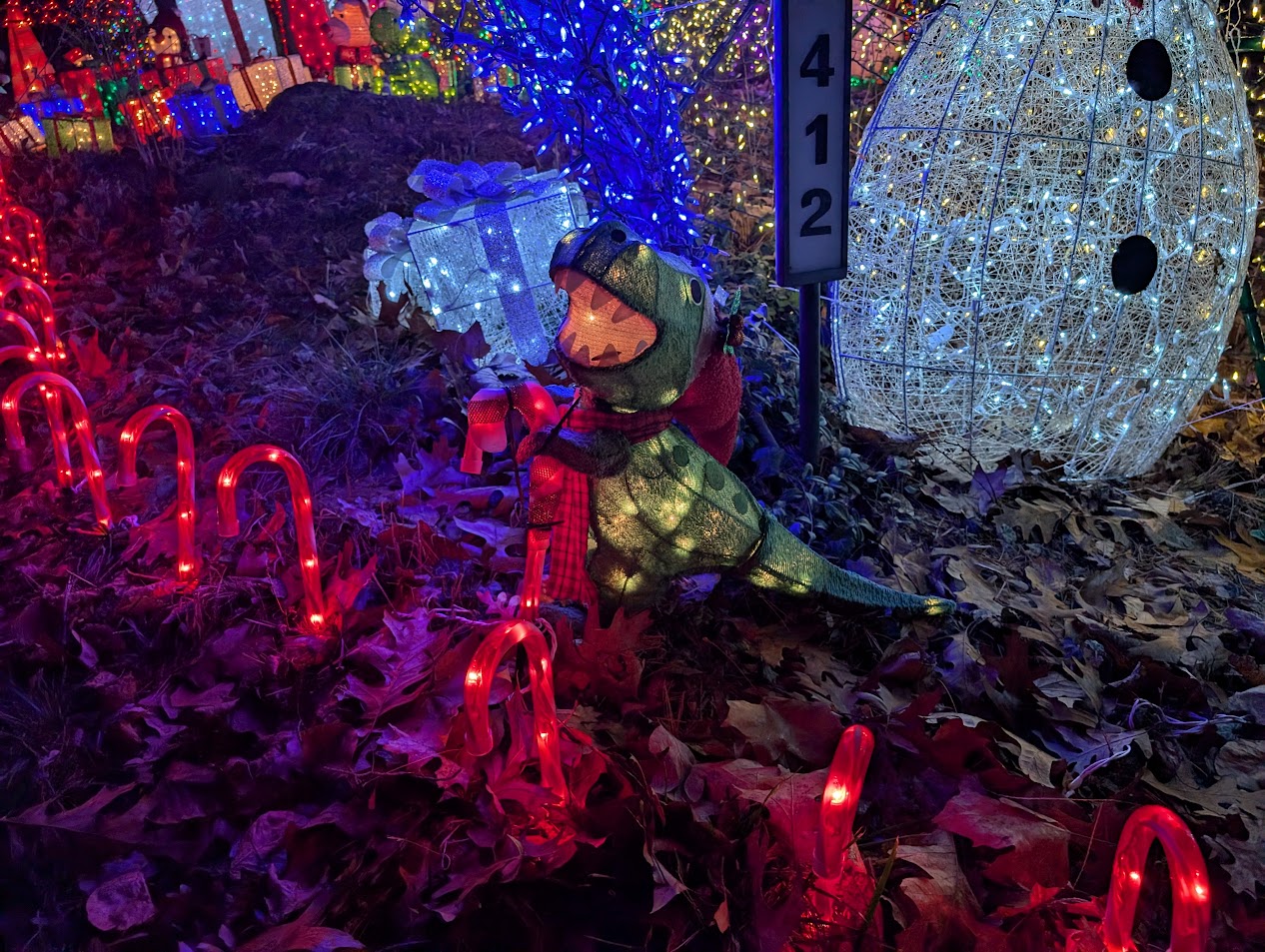 Christmas Lights 6