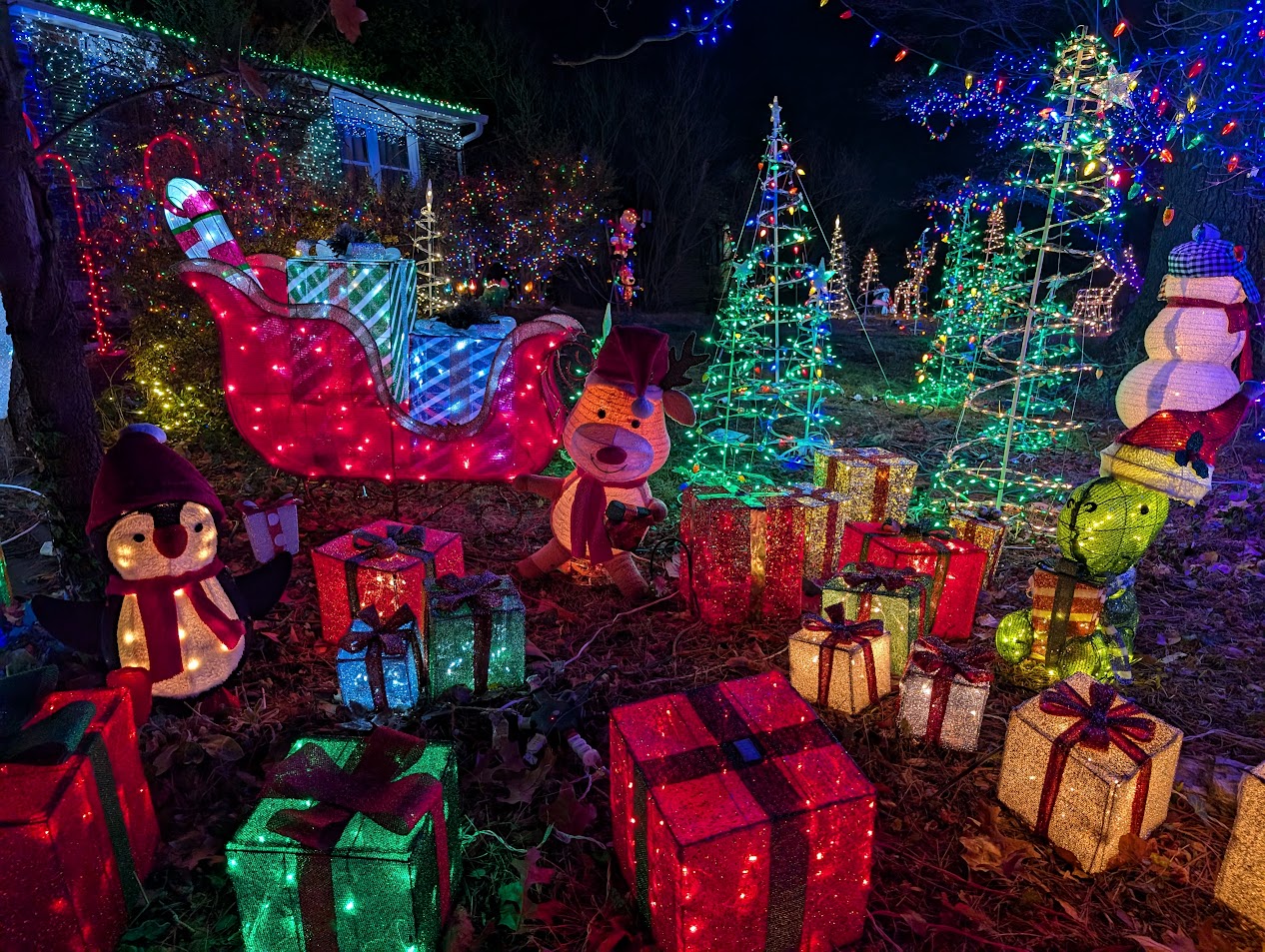 Christmas Lights 7