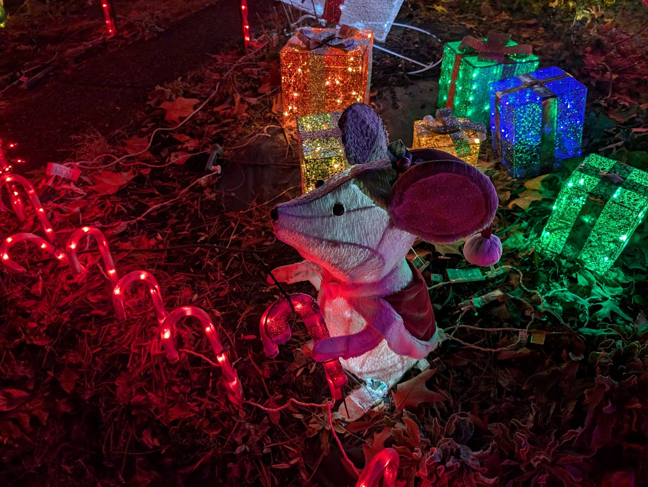 Christmas Lights 8