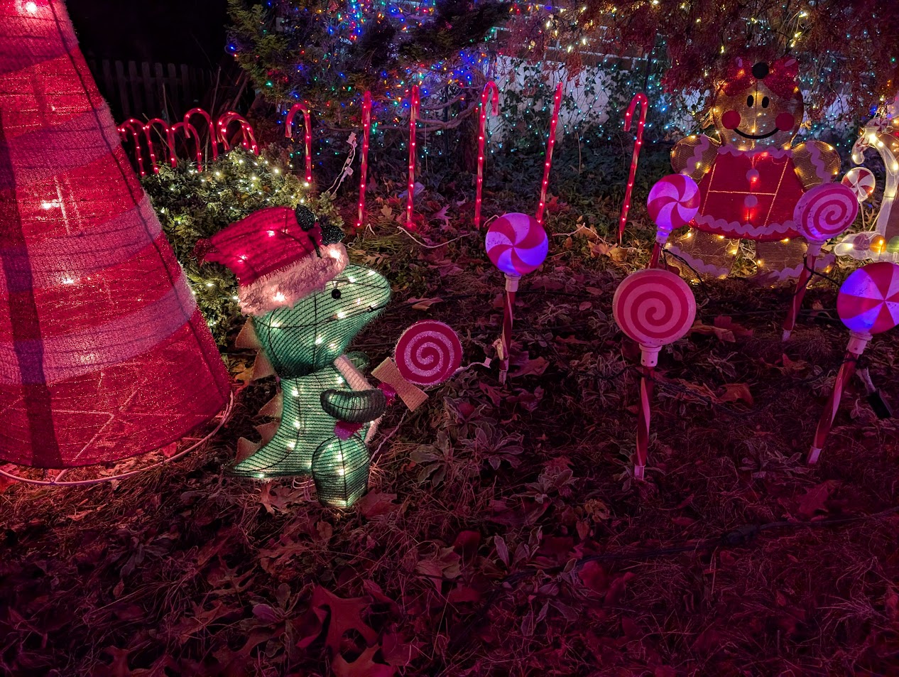 Christmas Lights 9